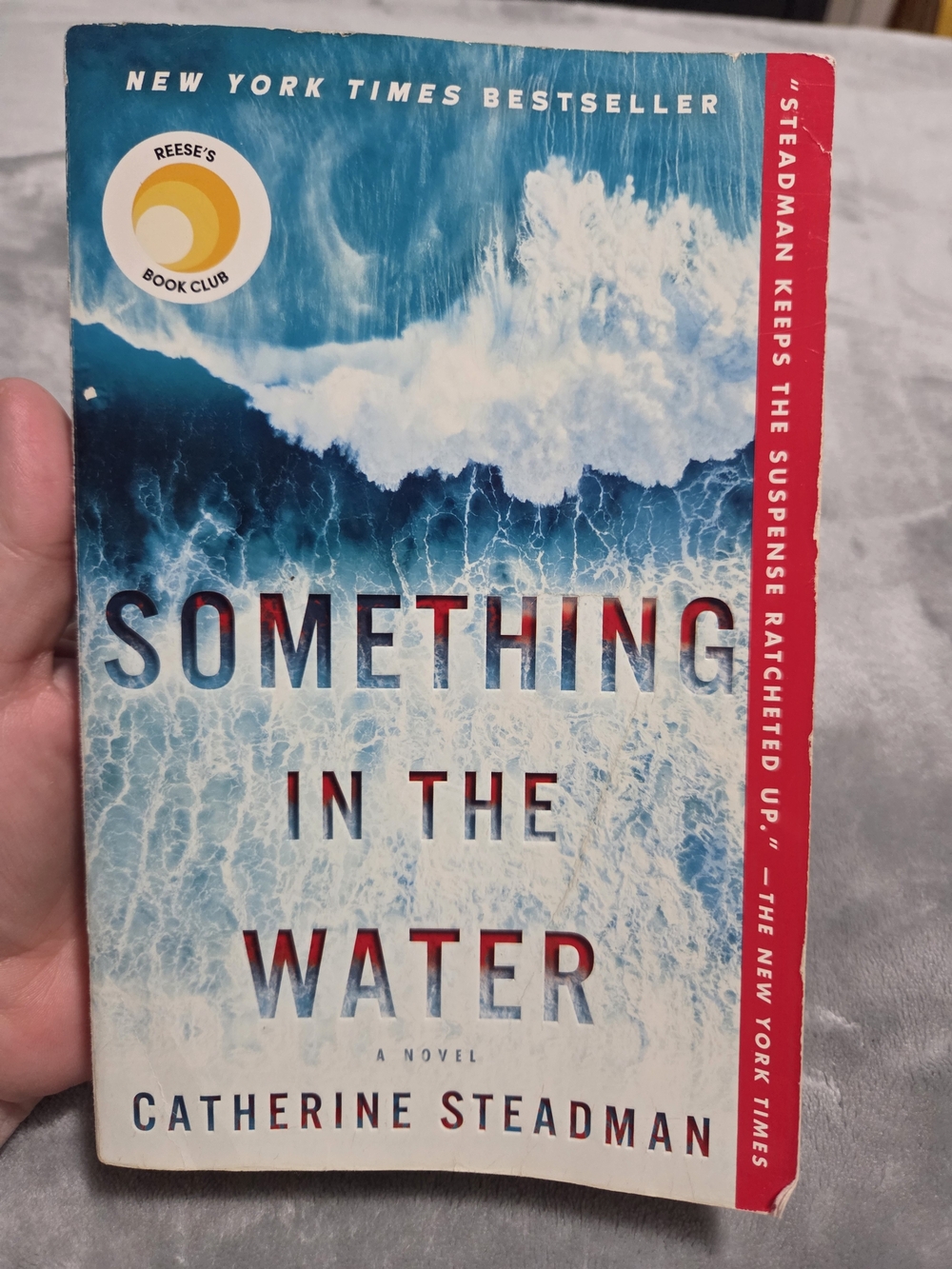 Something in the Water by Catherine Steadman Paperback Book